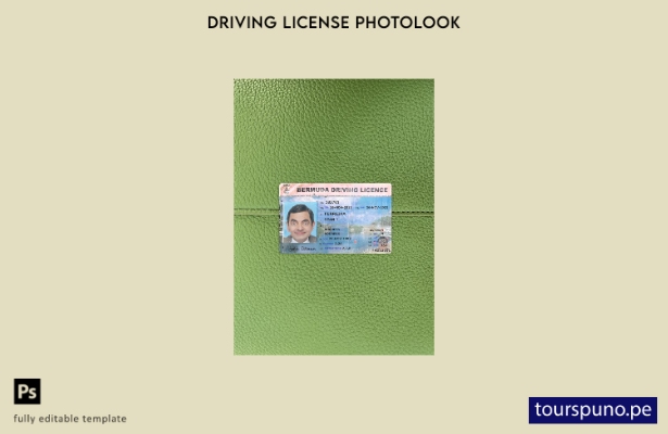 Plantilla frontal de aspecto fotográfico del permiso de conducir de Bermudas lis